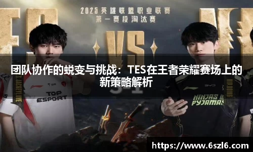 3亿体育官网